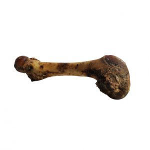 Kość wieprzowa wędzona (ok. 21 cm)