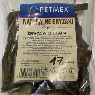 Żwacz wielbłąda