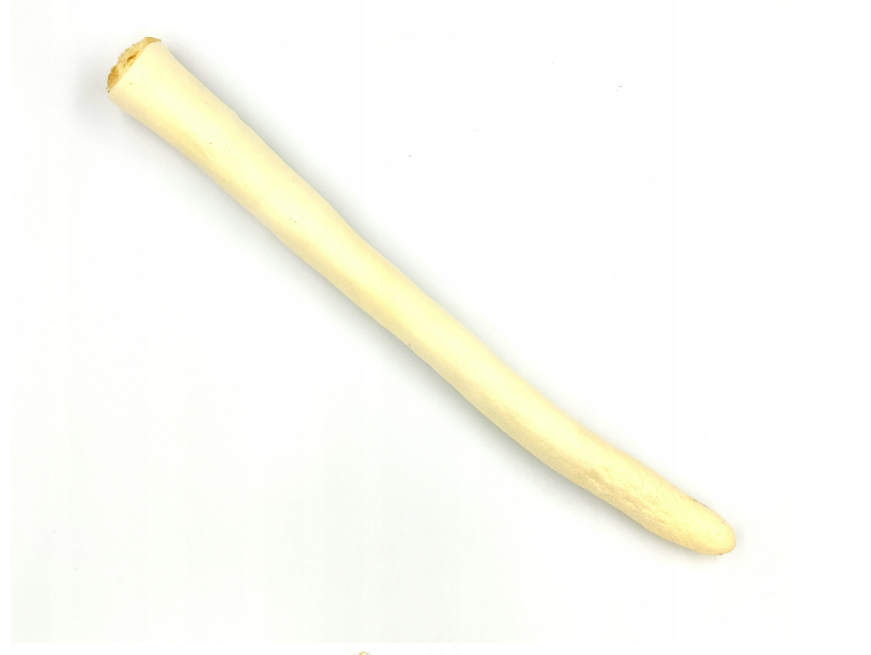Ogon wołowy